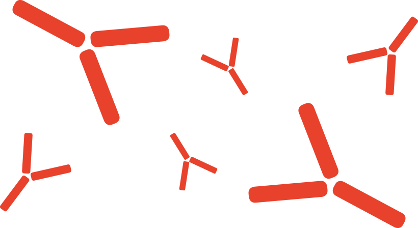 Grafik Immunsystem