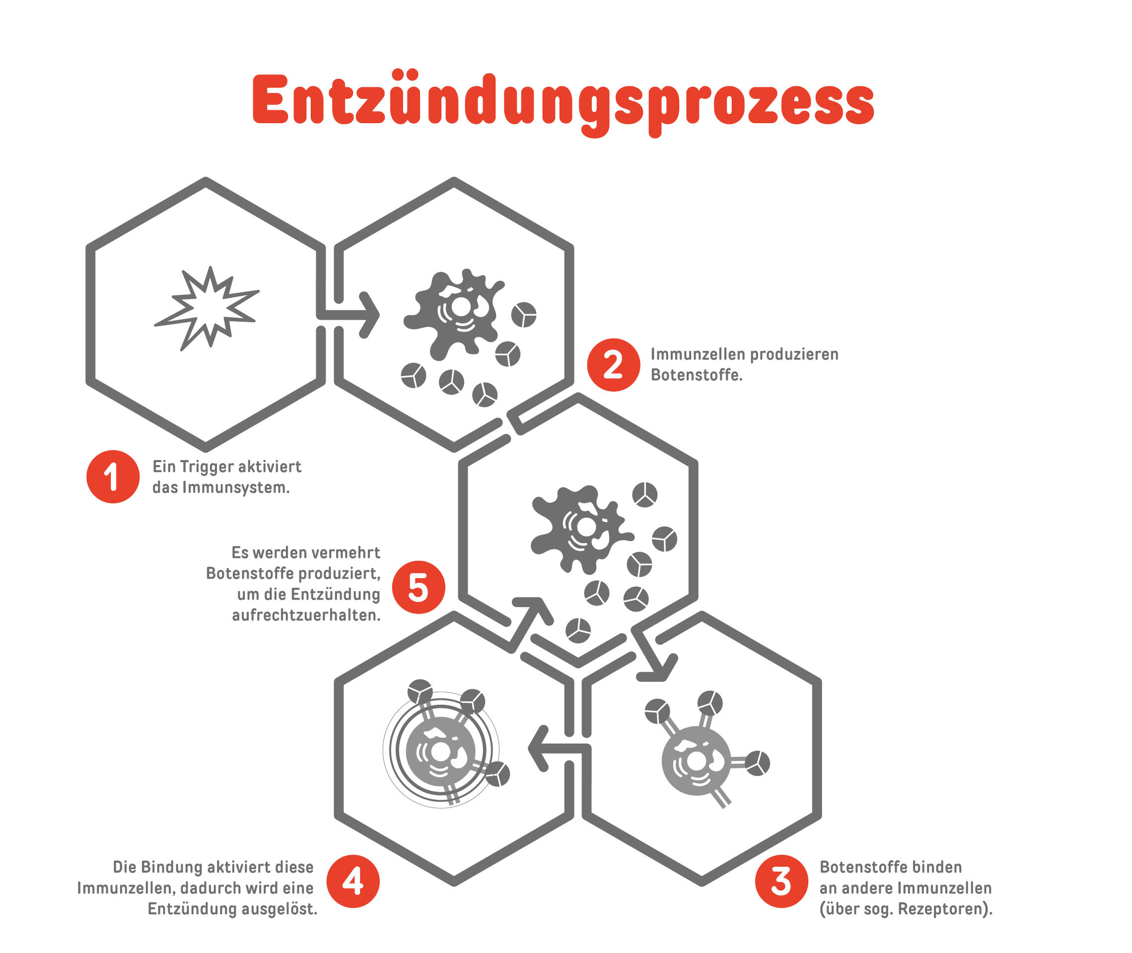 Entzündungsprozess bei Schuppenflechte