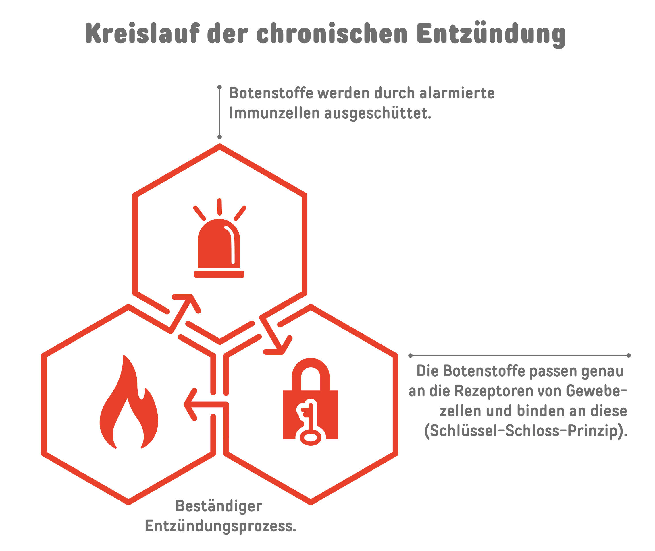 Kreislauf der chronischen Entzündung