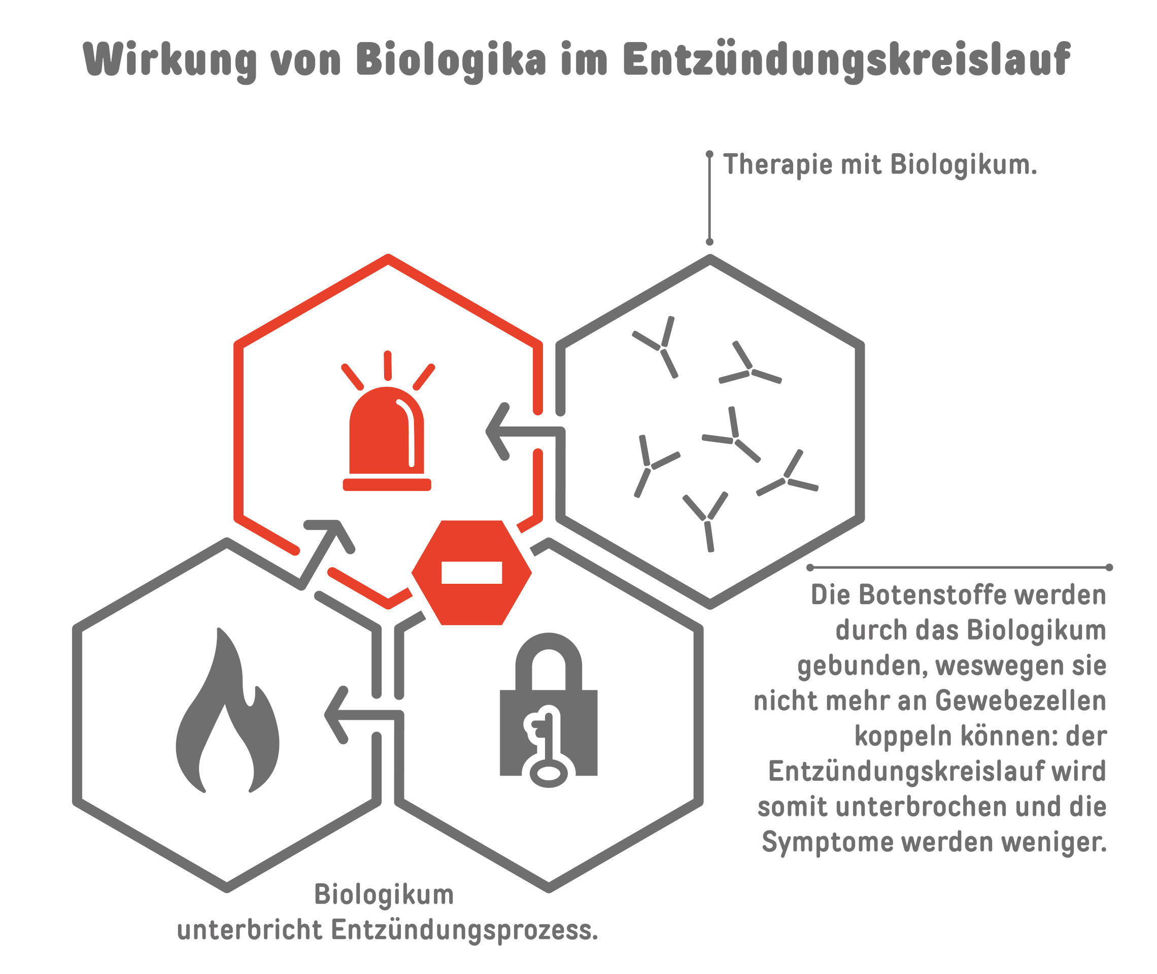 Wirkung von Biologika im Entzündungskreislauf
